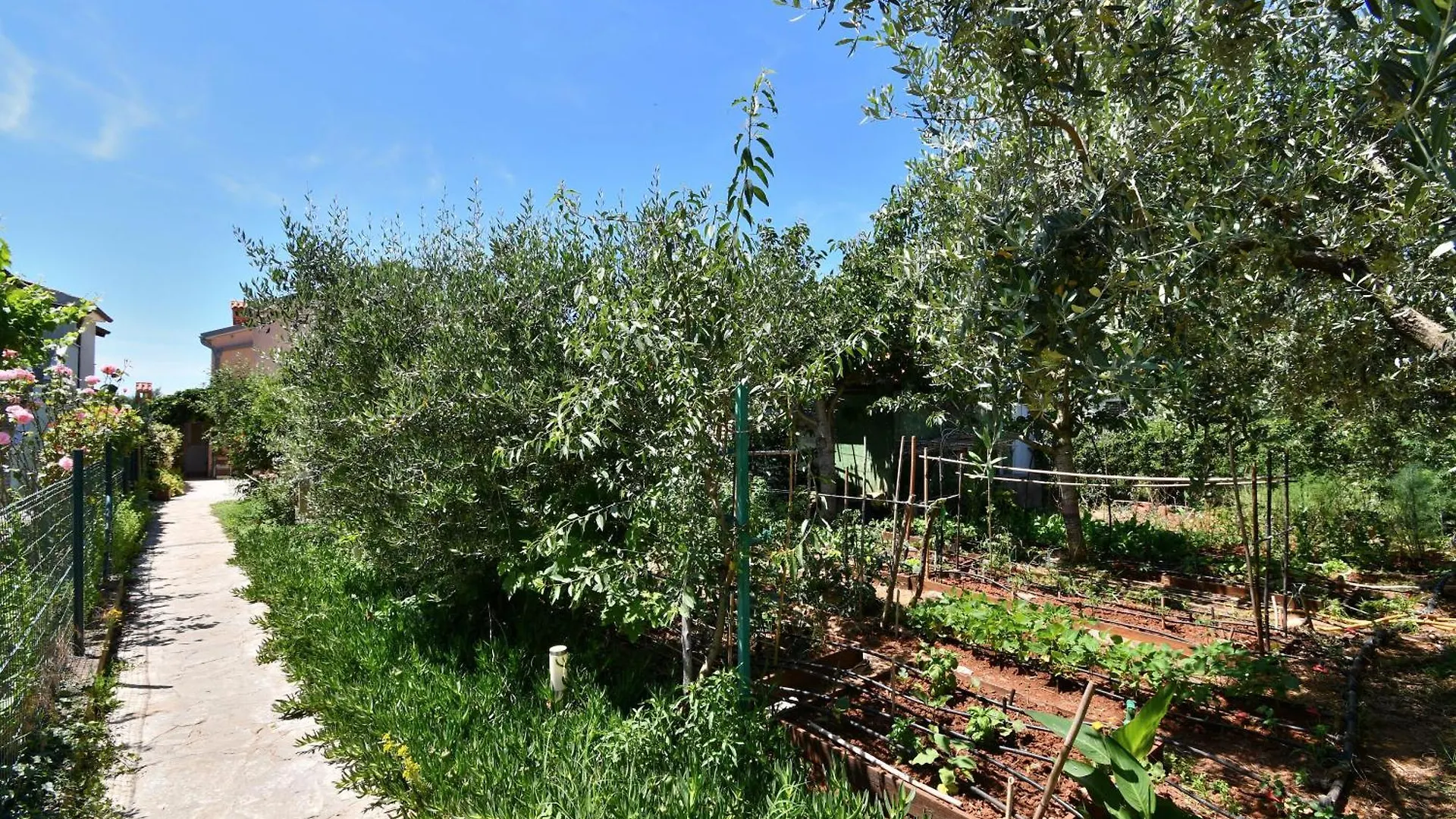 Apartments Petra Fazana